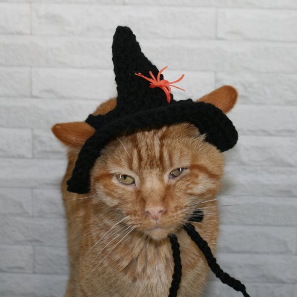 HAND CRAFTED Crochet Halloween Witch Hat Spider Cat Costume Photo Prop - Picture 4 of 14